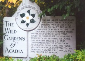 wild gardens