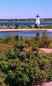brandt point.
