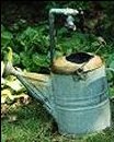 watering can.