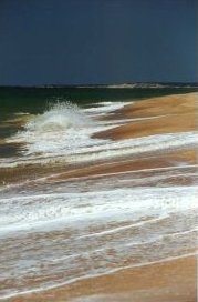 Long Point beach.